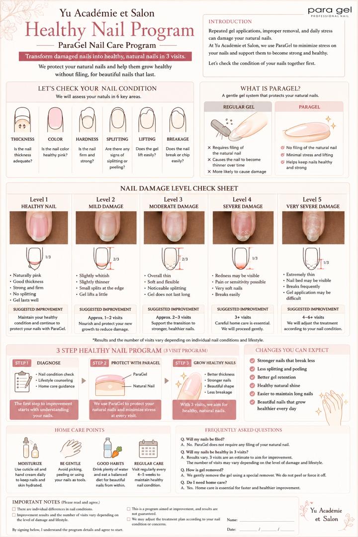 The Healthy Nail Program sheet as printed in the salon